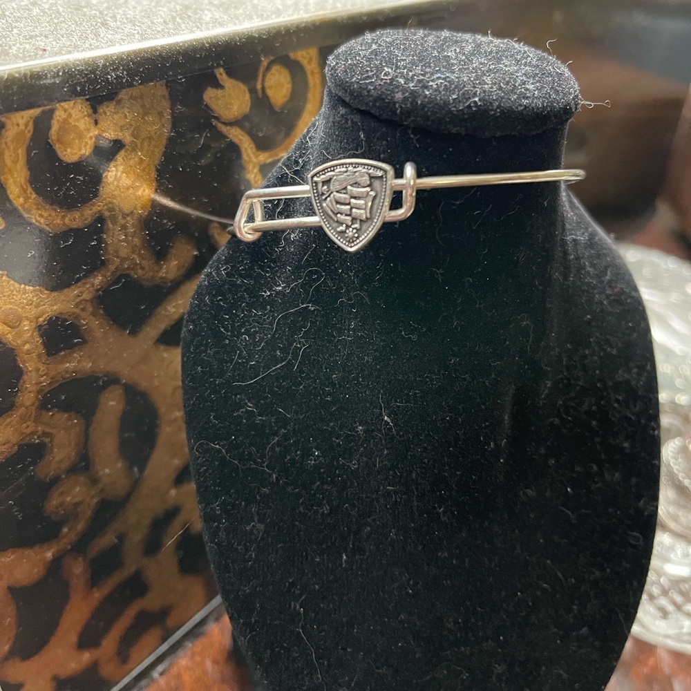 Alex and Ani Shield Bracelet